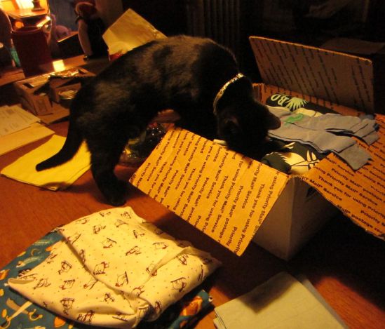 Reason #7,592 to love the Post Office: friends send art supplies for your project that also entertain your Furry Overlords.