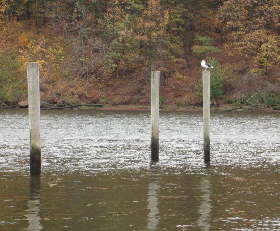 Thanks, I'll get a chair.