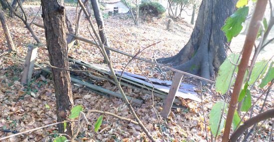 During our Christmas Day Walkabout, Pete photographed this ruin and walked home with me.