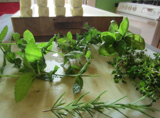 Summer, why are you in the other hemisphere?