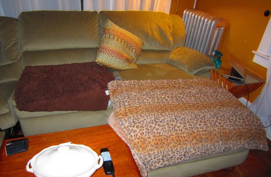 The new chaise where I will probably sleep next week arrived today. Pete immediately covered it with throws to fool the cats into thinking the couch was preemptively clawed.