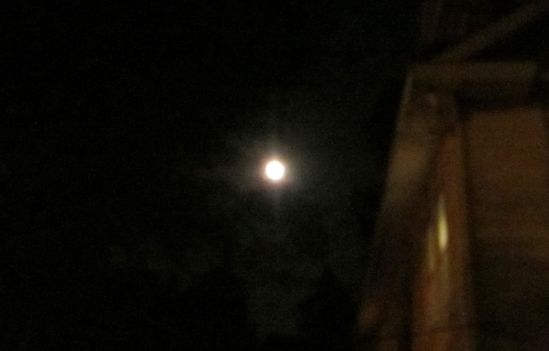 The waning year had thirteen full moons. May the new year bring you prosperity and every happiness and bring me better punch lines.