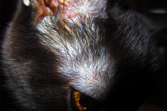 Topaz knows. Yes indeed. Topaz sees, Topaz knows.