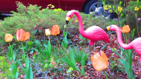 So busy I went to physical therapy an hour after my appointment. Genius! 