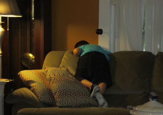 When I got home from work, Panky was rolling across the couch with his shoes on, Buckwheat demanded I unwrap her toothbrush, the kitten was huddled in the kitchen, the other cats shivered in the attic and Miss Sasha was holding the dog. I don't have a dog. The TV was on. South Indian food was spread out across the table. So I unwrapped the toothbrush and told the kitten I was doubling her allowance.