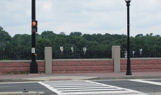 Roadside memorial on Route 18. Trees in the distance line the riverbank near where my old apartment stands. The whole place is so blood-soaked we should see ghosts panhandling on Albany Street.