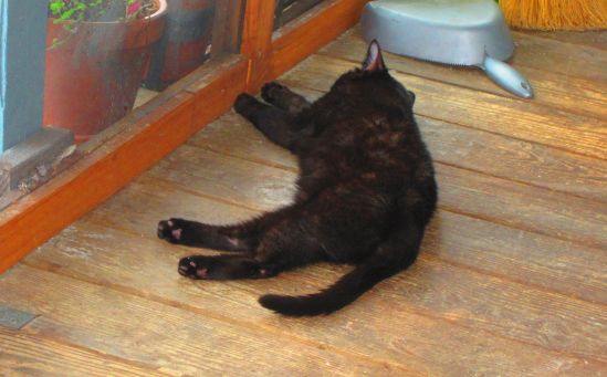 What's all this, then?