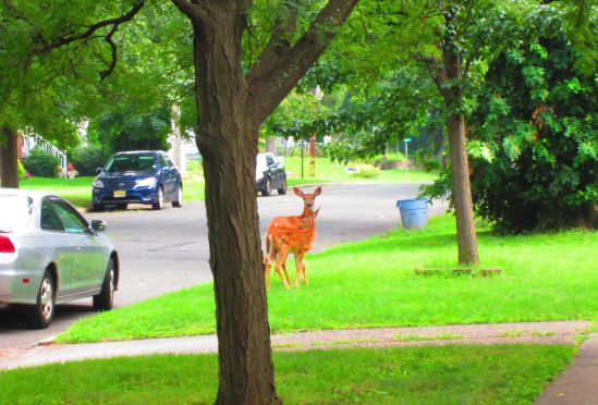 Word to the wise, buddy: if your wife hurts my baby, we're gonna rumble.