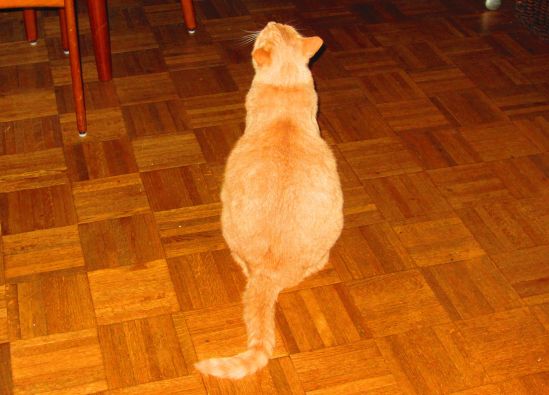 Mama, I love you, love you more, love you most. I love you, Mama. Love you! You, I love you! Love you, Mama! This has nothing whatsoever to do with that yummy Aspercreme on your neck.