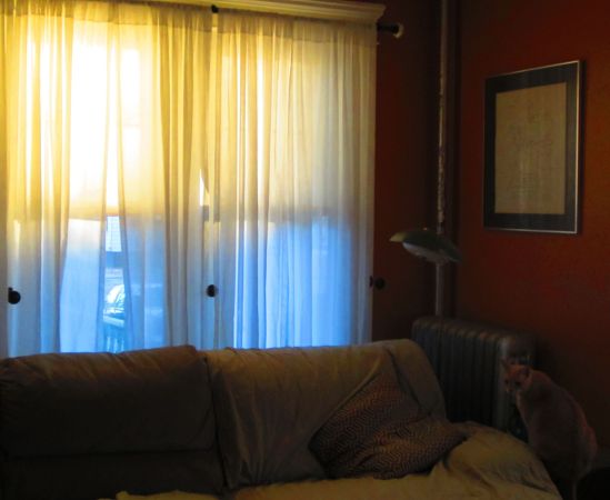 But soft, what light on yonder window breaks? It is the east and Sweetpea is the sun.