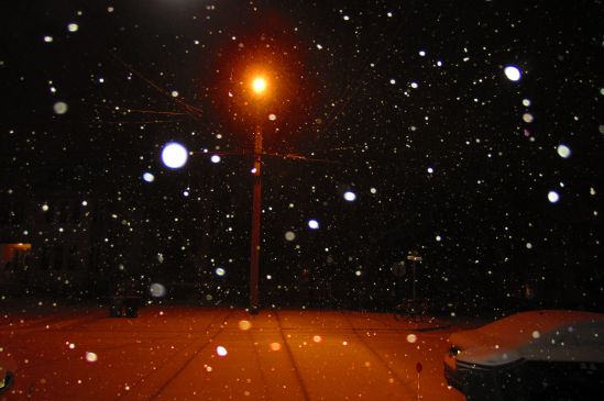 The schools are closed, so we went out with cameras into the snow, though now we are indoors and covered with cats.