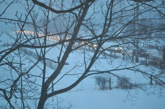 South Middlebush Road during the snowstorm on Tuesday, 21 January, 2014. Photo: Bob Hosh