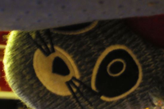 The slippers, they stare with eyes that have seen up your pant leg.