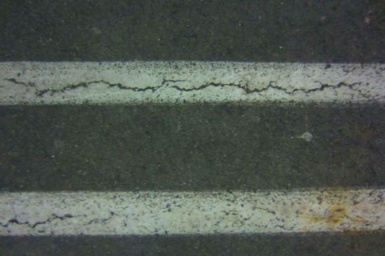 I am Princess Tata, Curator of Sidewalk Cracks, Cataloguer of Abandoned Gum. 