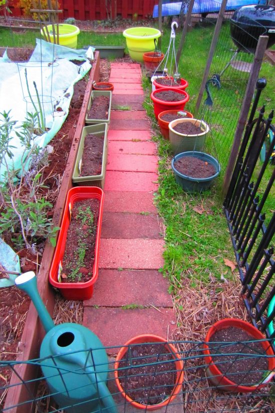 Backstrain: it's not just for breakfast anymore!