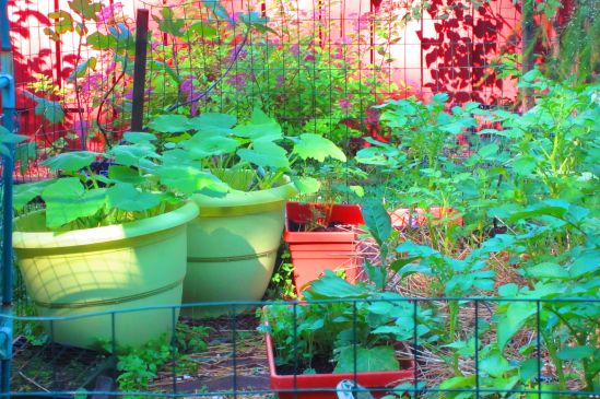 Fourteen seconds and a breeze later.