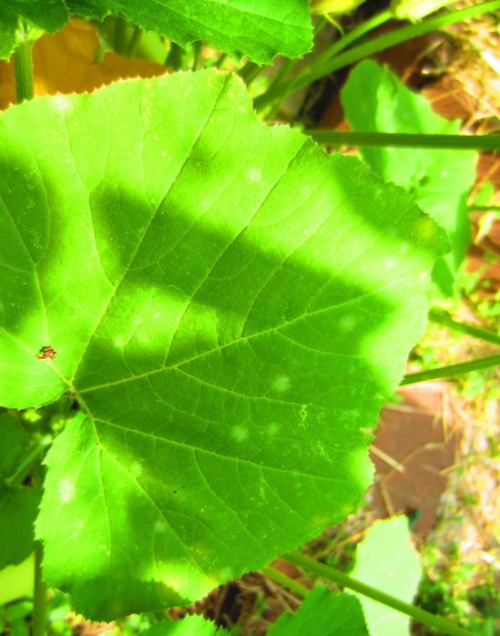 Is this a thing? IT IS.