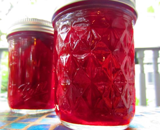 Pickled beets, at the scene of its improbable triumph: the great outdoors. Later, we will try hiking. No, we will not. We will not try that with glass. 