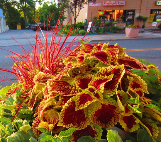 We're having a family situation. Please set yourselves up with popcorn, Raisinettes and an excellent defense attorney.