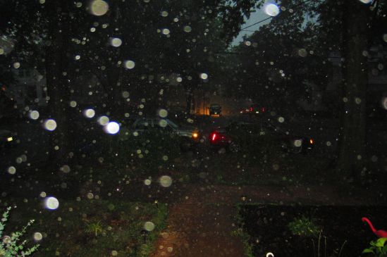 The temperature peaked at 99 degrees today with humidity do-si-do-ing around 100%. We watched lightning in the distance inch toward us until it and torrential rain arrived as we walked the four blocks under tall trees from a restaurant to our home, where we were happy to be and where tomato plants were overjoyed. 