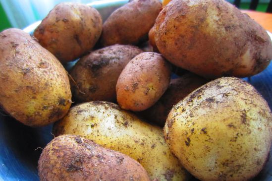 Joy! Potato Joy! Joy!