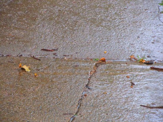 I am willing rain to come. Everything is dry. Dry things are too dry. It's dry!