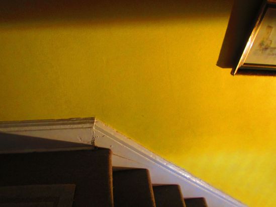 Something about turning the corner and finding this light there surprised me. You know, like finding someone named Ted where you don't expect one.