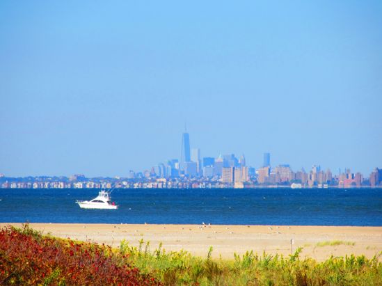 We're discovering we have a long-term family crisis on our hands. In other news: the new World Trade Center is plainly visible across the bay from our Happy Place.