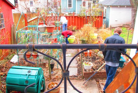 We are bolstering the local nephew-based economy with some old-fashioned raking and newfangled shredding. Mulch, here we come!