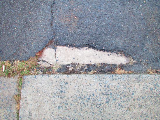 Last week, I felt three shades of stiff and terrible; today, I felt well enough to chop the ferny asparagus plants to helpless bits. Oh, it's great when I feel up to knife-wielding monkeyshines. I just know the neighbors shared my glee.