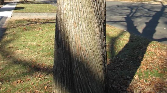 One of my favorite things about photography is the later WHAT THE FUCK IS THAT? moment.