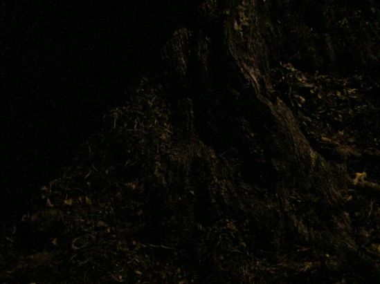 When snow is on the way, it's important to recall that, last year, we were up to our knees in it.