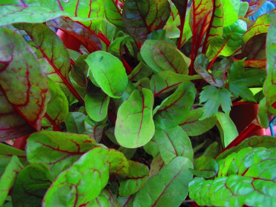 …is not like the others.