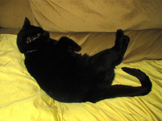 Swashbuckling really takes it out of our little pirate.