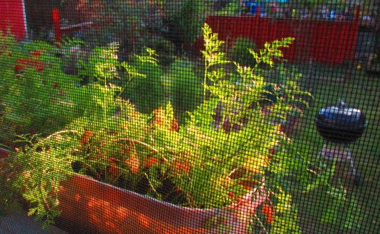 Summer, like a bad boyfriend, departs without a word, but with the scent of lighter fluid.