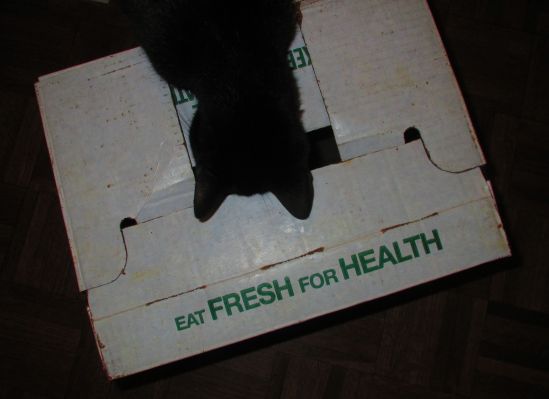 Even Topaz won't argue the point.