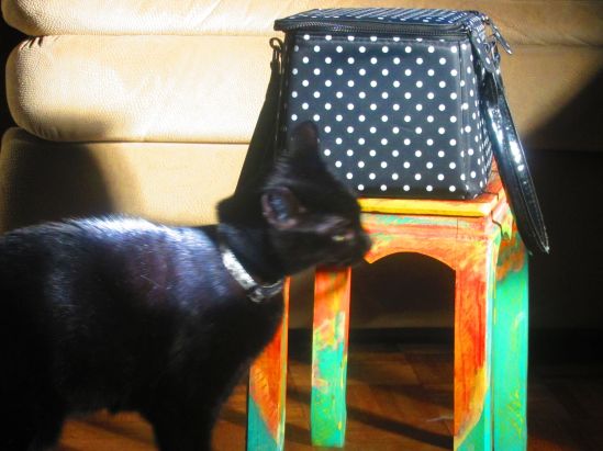 Drusy could not believe I could take a picture without her, so she fixed that for me.