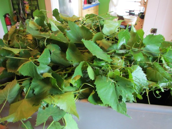 seasons greenings.jpg