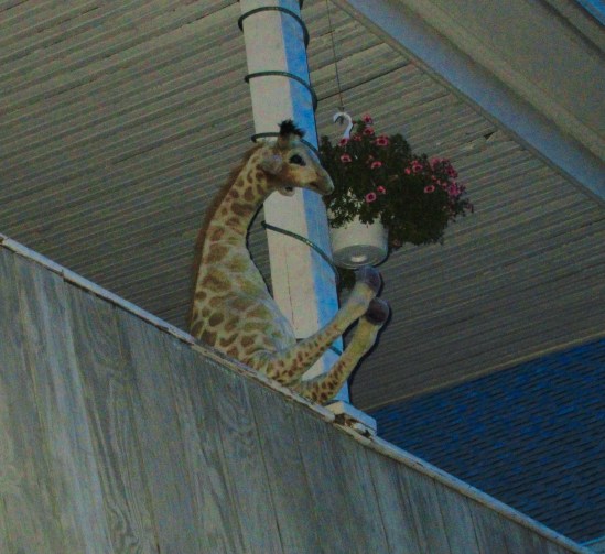 If you're happy and you know it, you're a stuffed giraffe.