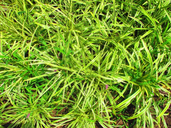 They're talking about me. I just know it.