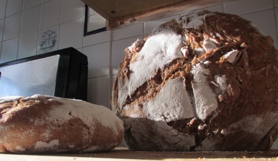 Bread is sexy, unless you eat all of it.