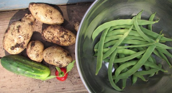 Seriously, grow some food yourself, buddy.