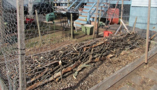 Seriously, I don't have the teeth for this.