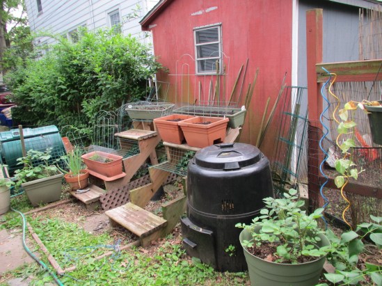 That's not my shed, but my plants lean on it.