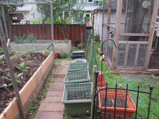 I have a splinter. I'm sure it's not from all this wood.