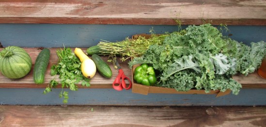 Seriously, that's a lot of food.