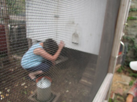 Note: no part of this is not gross.