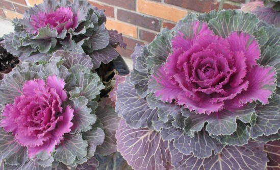 Three is a magic number. Yes, it is!