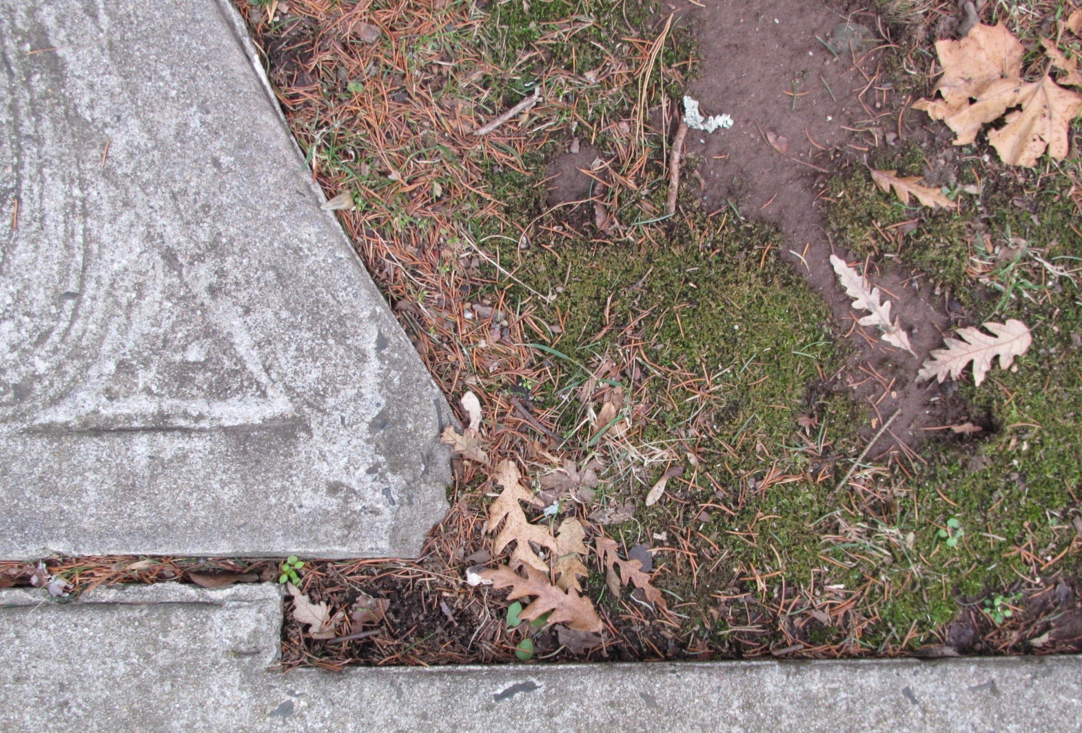 Don't bust an ankle.