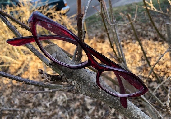 Odd blossoms on a forsythia bush.